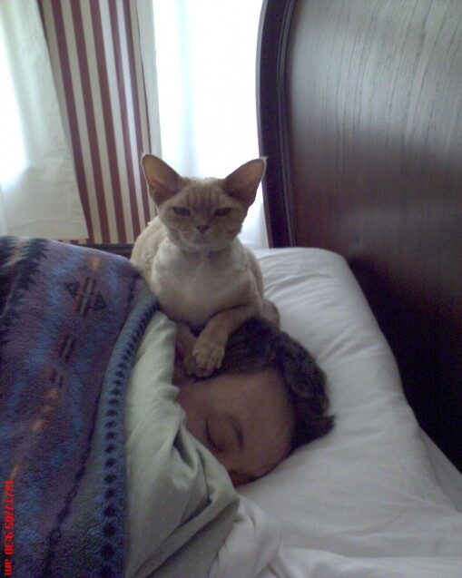 Chester - Early