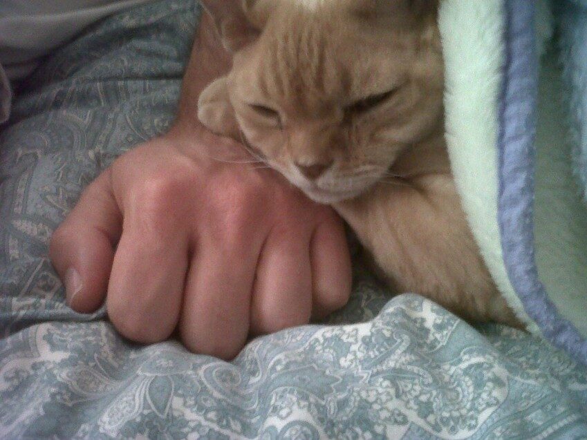 Chester - 2010