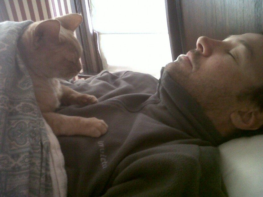 Chester - 2010