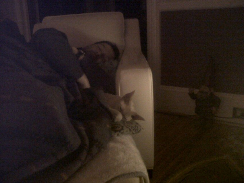 Chester - 2010