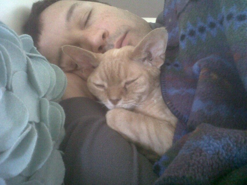 Chester - 2011