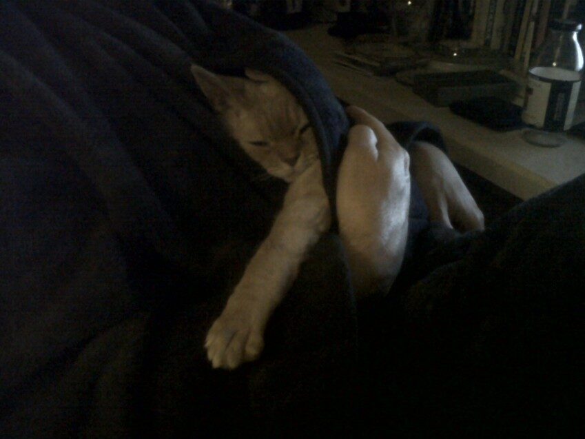 Chester - 2011