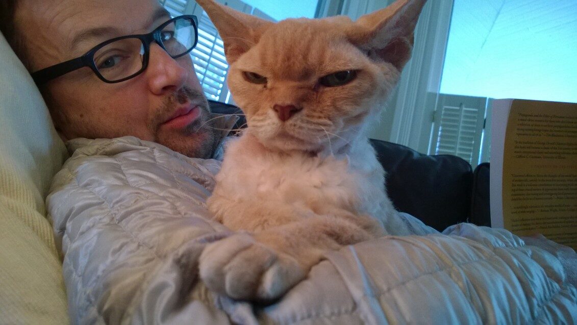 Chester - 2014